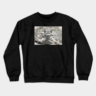 Wild cat Crewneck Sweatshirt